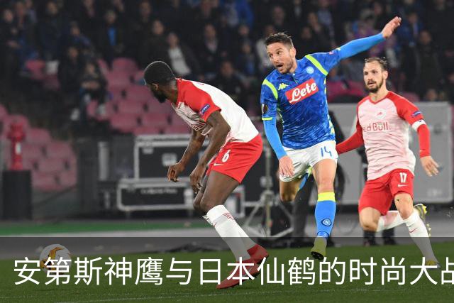 安第斯神鹰与日本仙鹤的时尚大战来袭！